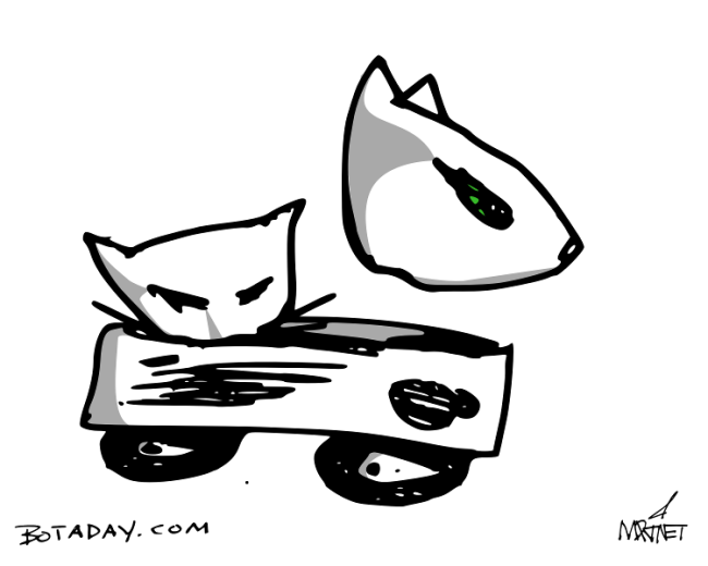 Cat Cart