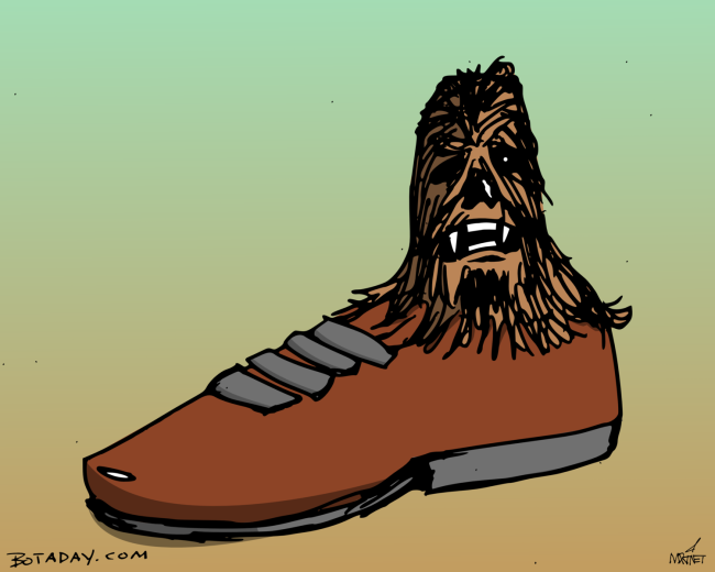 Shoebacca