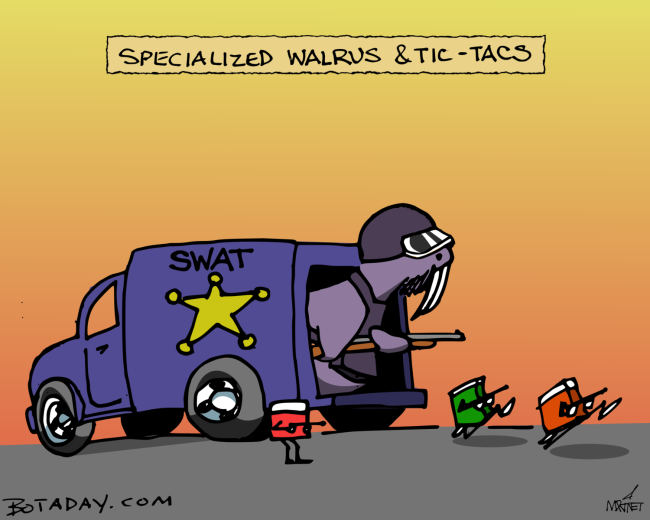 SWAT Team