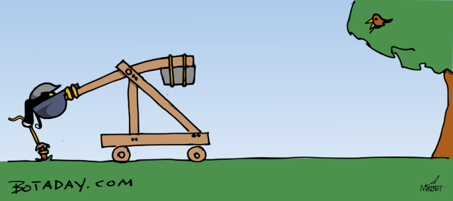 Catapult