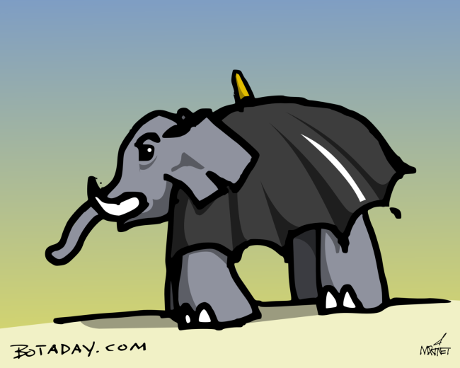 Umbrellephant