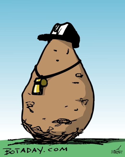 Coach Potato