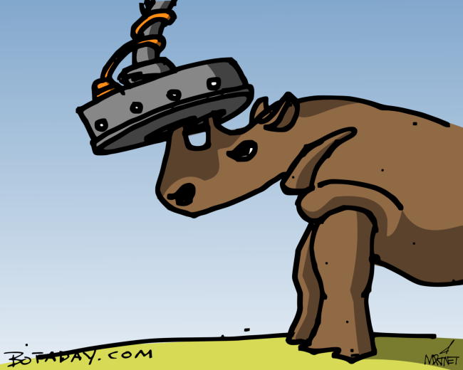 Charging Rhino