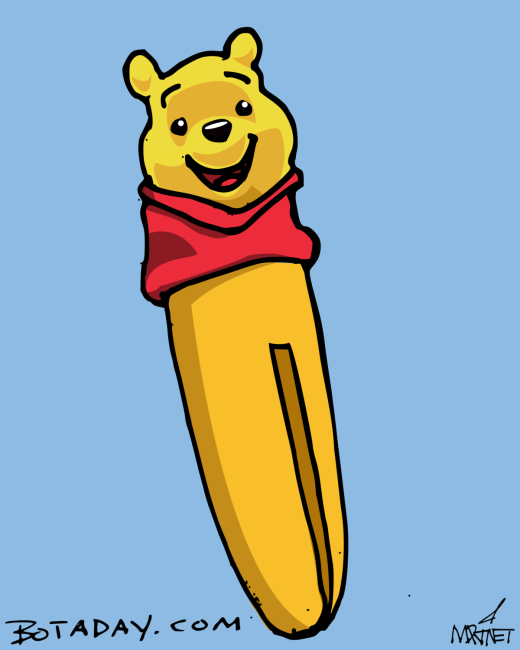 Winnie Peg