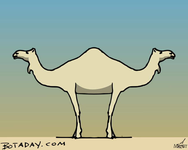 Palindromedary