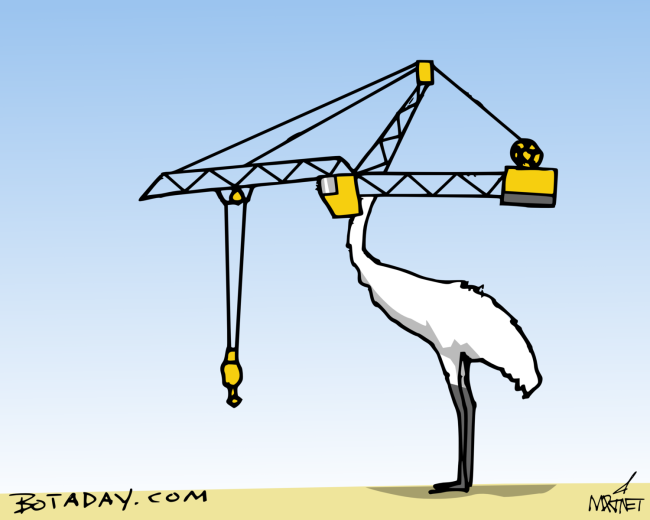 Crane