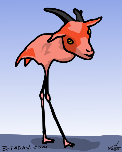 Flamingoat