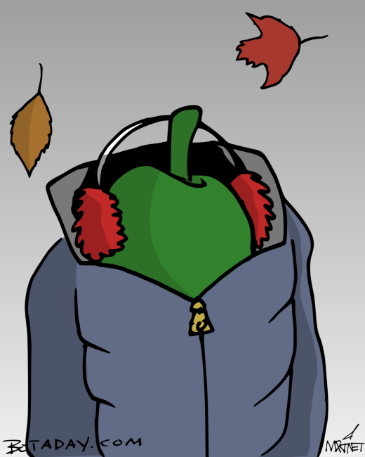 Chilly Pepper