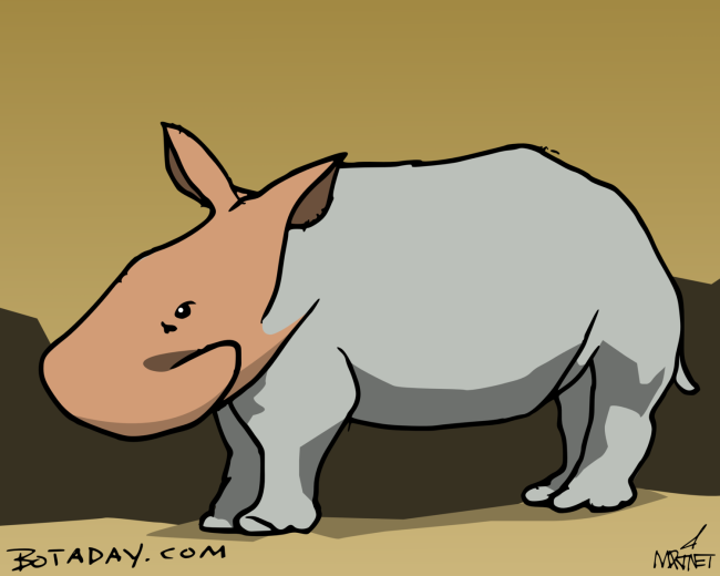 Rhinoseceros