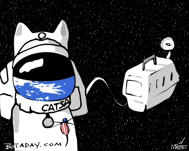 Catstronaut