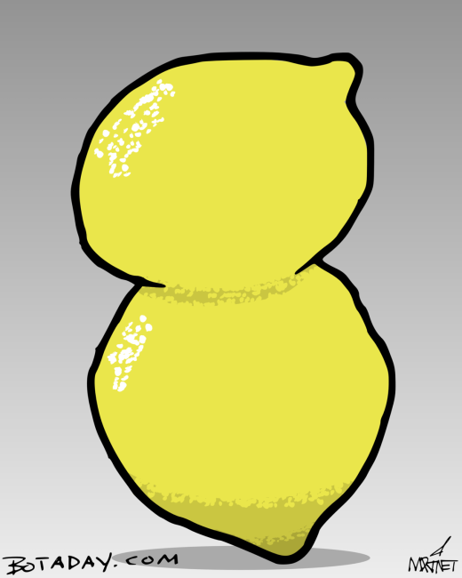 Lemon Eight