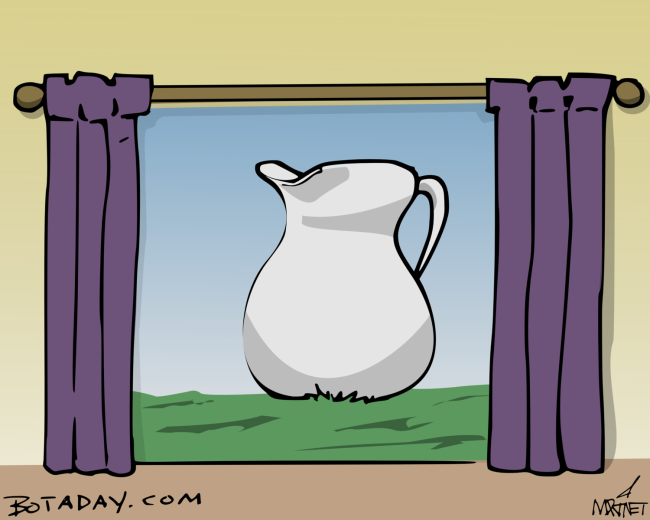 Pitcher Window