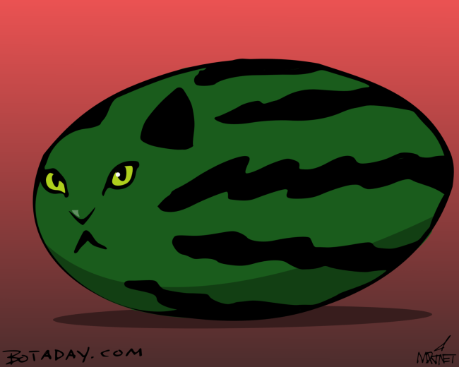 Catermelon