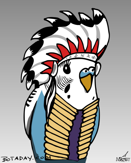 Cherokeet