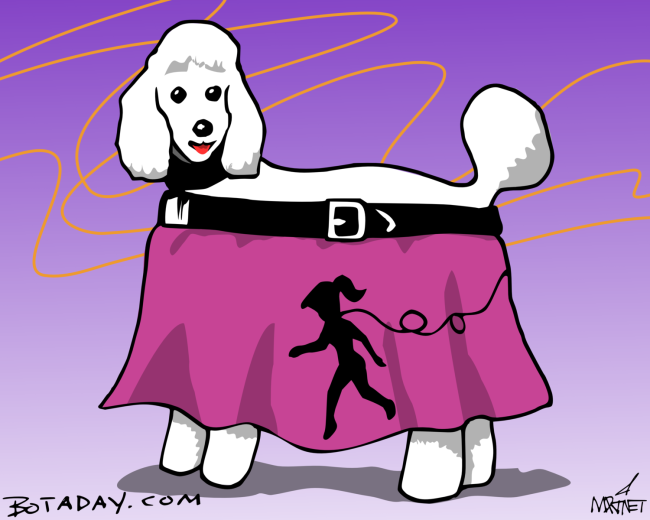 Poodle Skirt