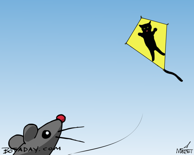 Kitty Kite