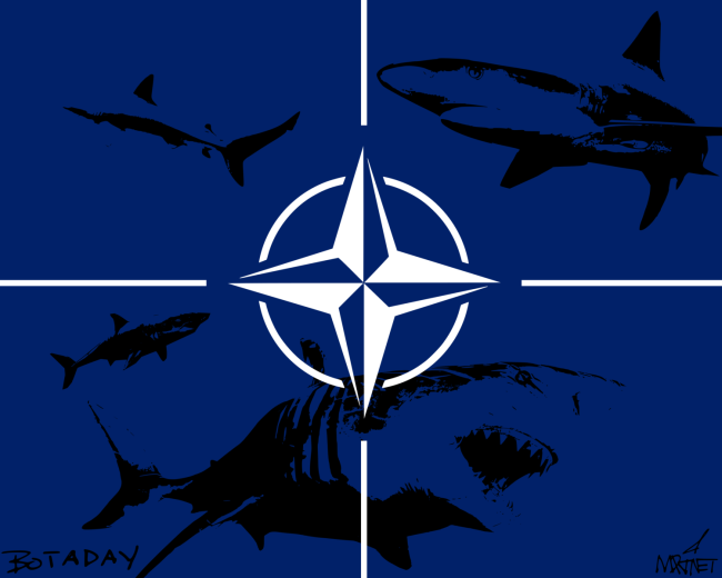 SharkNATO