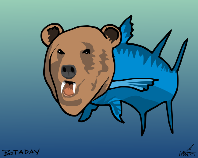 Bearacuda