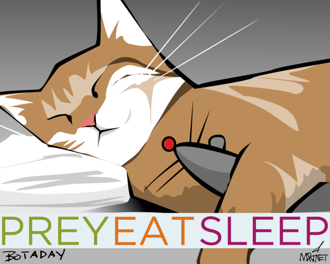 Prey Eat Sleep