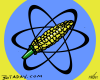 Cornfusion