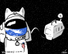 Catstronaut