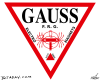 Gauss