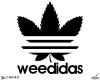 Weedidas